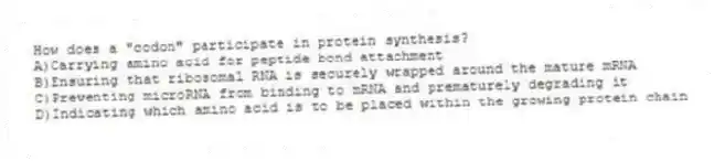 How does a "codon" participate in protein synthesis?
A)Carrying amino acid for peptide bond attachment
B)Ensuring that ribosomal RNA is securely wrapped around the mature mRNA
C)Preventing microRNA from binding to mRNA and prematurely degrading it
D)Indicating which amino acid is to be placed within the growing protein chain