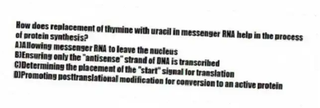 How does replacement of thymine with uracil in messenger RNA help in the process of protein synthesis?
A)Allowing messenger RNA to leave the nucleus
B)Ensuring only the "antisense" strand of DNA is transcribed
C)Determining the placement of the "start" signal for translation
D)Promoting posttranslational modification for conversion to an active protein