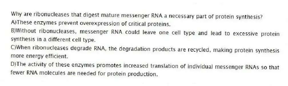 Why are ribonucleases that digest mature messenger RNA a necessary part of protein synthesis?
A)These enzymes prevent overexpression of critical proteins.
B)Without ribonucleases, messenger RNA could leave one cell type and lead to excessive protein synthesis in a different cell type.
C)When ribonucleases degrade RNA, the degradation products are recycled, making protein synthesis more energy efficient.
D)The activity of these enzymes promotes increased translation of individual messenger RNAs so that fewer RNA molecules are needed for protein production.