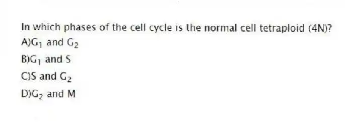 In which phases of the cell cycle is the normal cell tetraploid (4N)?
A)G<sub>1</sub> and G<sub>2</sub>
B)G<sub>1</sub> and S
C)S and G<sub>2</sub>
D)G<sub>2</sub> and M