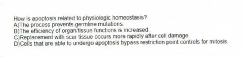 How is apoptosis related to physiologic homeostasis?
A)The process prevents germline mutations.
B)The efficiency of organ/tissue functions is increased.
C)Replacement with scar tissue occurs more rapidly after cell damage.
D)Cells that are able to undergo apoptosis bypass restriction point controls for mitosis.