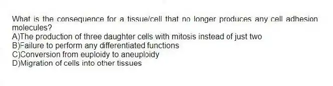 What is the consequence for a tissue/cell that no longer produces any cell adhesion molecules?
A)The production of three daughter cells with mitosis instead of just two
B)Failure to perform any differentiated functions
C)Conversion from euploidy to aneuploidy
D)Migration of cells into other tissues