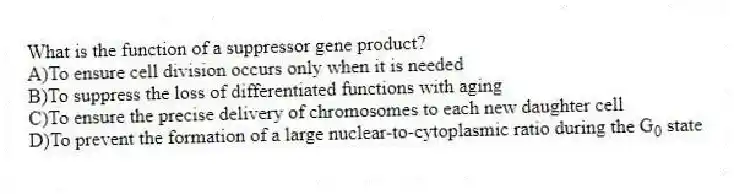 What is the function of a suppressor gene product?
A)To ensure cell division occurs only when it is needed
B)To suppress the loss of differentiated functions with aging
C)To ensure the precise delivery of chromosomes to each new daughter cell
D)To prevent the formation of a large nuclear-to-cytoplasmic ratio during the G<sub>0</sub> state