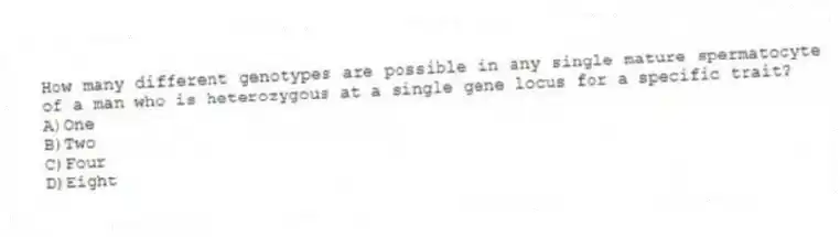 How many different genotypes are possible in any single mature spermatocyte of a man who is heterozygous at a single gene locus for a specific trait?
A)One
B)Two
C)Four
D)Eight