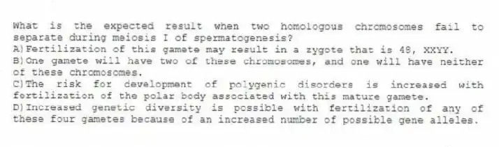 What is the expected result when two homologous chromosomes fail to separate during meiosis I of spermatogenesis?
A)Fertilization of this gamete may result in a zygote that is 48, XXYY.
B)One gamete will have two of these chromosomes, and one will have neither of these chromosomes.
C)The risk for development of polygenic disorders is increased with fertilization of the polar body associated with this mature gamete.
D)Increased genetic diversity is possible with fertilization of any of these four gametes because of an increased number of possible gene alleles.