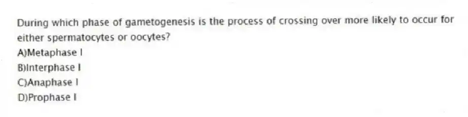 During which phase of gametogenesis is the process of crossing over more likely to occur for either spermatocytes or oocytes?
A)Metaphase I
B)Interphase I
C)Anaphase I
D)Prophase I