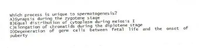 Which process is unique to spermatogenesis?
A)Synapsis during the zygotene stage
B)Equal distribution of cytoplasm during meiosis I
C)Elongation of chromatids during the diplotene stage
D)Degeneration of germ cells between fetal life and the onset of puberty