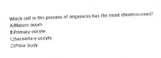 Which cell in the process of oogenesis has the most chromosomes?
A)Mature ovum
B)Primary oocyte
C)Secondary oocyte
D)Polar body