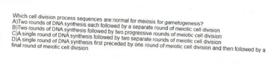 Which cell division process sequences are normal for meiosis for gametogenesis?
A)Two rounds of DNA synthesis each followed by a separate round of meiotic cell division
B)Two rounds of DNA synthesis followed by two progressive rounds of meiotic cell division
C)A single round of DNA synthesis followed by two separate rounds of meiotic cell division
D)A single round of DNA synthesis first preceded by one round of meiotic cell division and then followed by a final round of meiotic cell division
