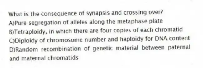What is the consequence of synapsis and crossing over?
A)Pure segregation of alleles along the metaphase plate
B)Tetraploidy, in which there are four copies of each chromatid
C)Diploidy of chromosome number and haploidy for DNA content
D)Random recombination of genetic material between paternal and maternal chromatids