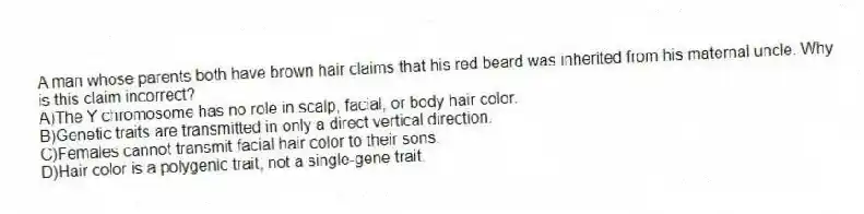 A man whose parents both have brown hair claims that his red beard was inherited from his maternal uncle. Why is this claim incorrect?
A)The Y chromosome has no role in scalp, facial, or body hair color.
B)Genetic traits are transmitted in only a direct vertical direction.
C)Females cannot transmit facial hair color to their sons.
D)Hair color is a polygenic trait, not a single-gene trait.