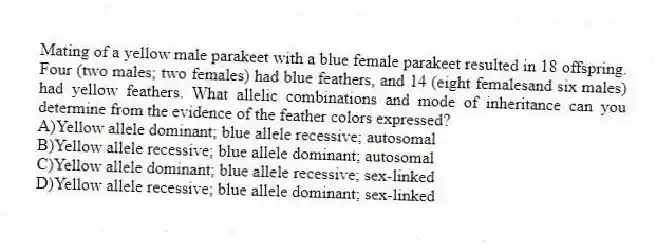 Mating of a yellow male parakeet with a blue female parakeet resulted in 18 offspring. Four (two males; two females) had blue feathers, and 14 (eight femalesand six males) had yellow feathers. What allelic combinations and mode of inheritance can you determine from the evidence of the feather colors expressed?
A)Yellow allele dominant; blue allele recessive; autosomal
B)Yellow allele recessive; blue allele dominant; autosomal
C)Yellow allele dominant; blue allele recessive; sex-linked
D)Yellow allele recessive; blue allele dominant; sex-linked