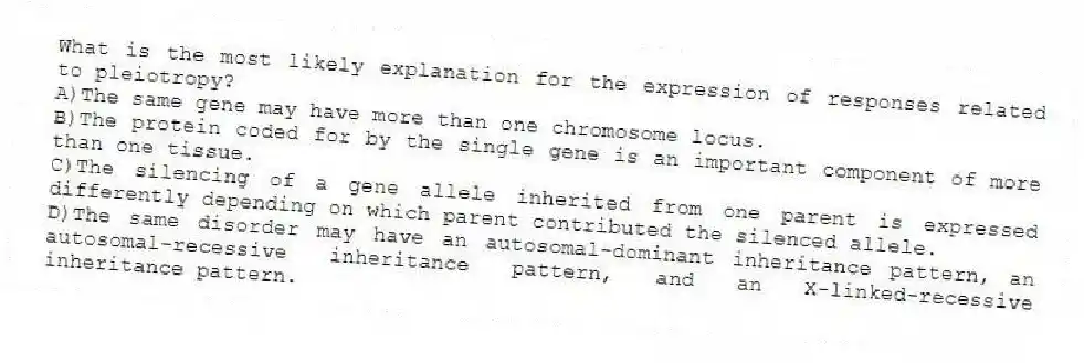 What is the most likely explanation for the expression of responses related to pleiotropy?
A)The same gene may have more than one chromosome locus.
B)The protein coded for by the single gene is an important component of more than one tissue.
C)The silencing of a gene allele inherited from one parent is expressed differently depending on which parent contributed the silenced allele.
D)The same disorder may have an autosomal-dominant inheritance pattern, an autosomal-recessive inheritance pattern, and an X-linked-recessive inheritance pattern.