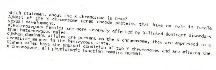 Which statement about the X chromosome is true?
A)Most of the X chromosome genes encode proteins that have no role in female sexual development.
B)Heterozygous females are more severely affected by X-linked-dominant disorders than heterozygous males.
C)When dominant alleles are present on the X chromosome, they are expressed in a recessive manner in the hemizygous state.
D)When males have the unusual condition of two Y chromosomes and are missing the X chromosome, all physiologic function remains normal.