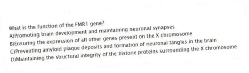 What is the function of the FMR1 gene?
A)Promoting brain development and maintaining neuronal synapses
B)Ensuring the expression of all other genes present on the X chromosome
C)Preventing amyloid plaque deposits and formation of neuronal tangles in the brain
D)Maintaining the structural integrity of the histone proteins surrounding the X chromosome