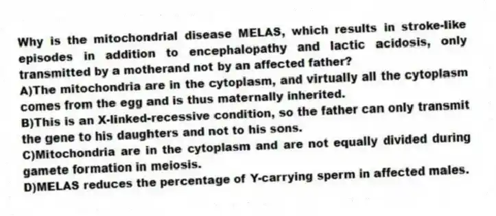 Why is the mitochondrial disease MELAS, which results in stroke-like episodes in addition to encephalopathy and lactic acidosis, only transmitted by a motherand not by an affected father?
A)The mitochondria are in the cytoplasm, and virtually all the cytoplasm comes from the egg and is thus maternally inherited.
B)This is an X-linked-recessive condition, so the father can only transmit the gene to his daughters and not to his sons.
C)Mitochondria are in the cytoplasm and are not equally divided during gamete formation in meiosis.
D)MELAS reduces the percentage of Y-carrying sperm in affected males.