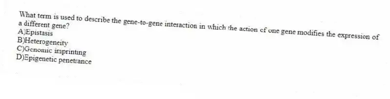 What term is used to describe the gene-to-gene interaction in which the action of one gene modifies the expression of a different gene?
A)Epistasis
B)Heterogeneity
C)Genomic imprinting
D)Epigenetic penetrance
