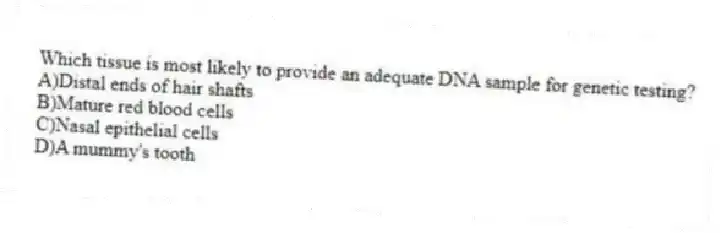 Which tissue is most likely to provide an adequate DNA sample for genetic testing?
A)Distal ends of hair shafts
B)Mature red blood cells
C)Nasal epithelial cells
D)A mummy's tooth