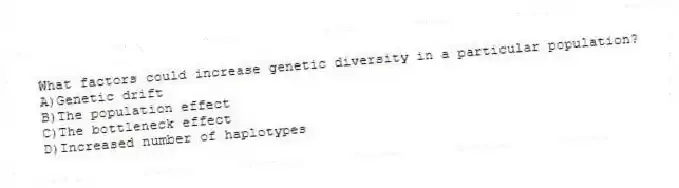 What factors could increase genetic diversity in a particular population?
A)Genetic drift
B)The population effect
C)The bottleneck effect
D)Increased number of haplotypes