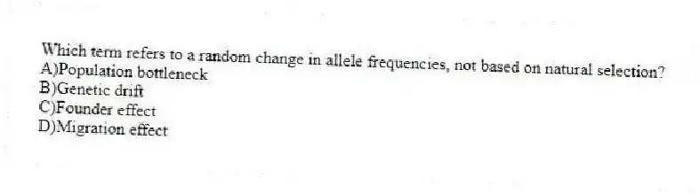 Which term refers to a random change in allele frequencies, not based on natural selection?
A)Population bottleneck
B)Genetic drift
C)Founder effect
D)Migration effect