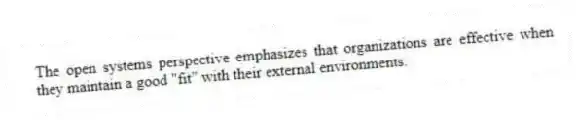 The open systems perspective emphasizes that organizations are effective when they maintain a good "fit" with their external environments.