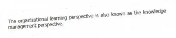 The organizational learning perspective is also known as the knowledge management perspective.