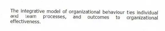 The integrative model of organizational behaviour ties individual and team processes, and outcomes to organizational effectiveness.