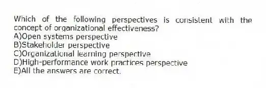 Which of the following perspectives is consistent with the concept of organizational effectiveness?
A)Open systems perspective
B)Stakeholder perspective
C)Organizational learning perspective
D)High-performance work practices perspective
E)All the answers are correct.