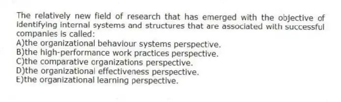 The relatively new field of research that has emerged with the objective of identifying internal systems and structures that are associated with successful companies is called:
A)the organizational behaviour systems perspective.
B)the high-performance work practices perspective.
C)the comparative organizations perspective.
D)the organizational effectiveness perspective.
E)the organizational learning perspective.