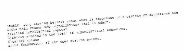 Stable, long-lasting beliefs about what is important in a variety of situations are
A)the main reason why organizations fail to adapt.
B)called intellectual capital.
C)rarely studied in the field of organizational behaviour.
D)called values.
E)the foundations of the open systems anchor.