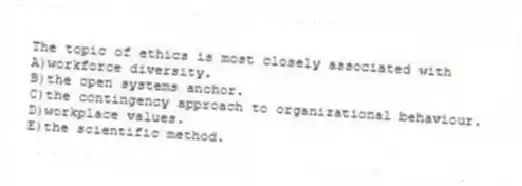 The topic of ethics is most closely associated with
A)workforce diversity.
B)the open systems anchor.
C)the contingency approach to organizational behaviour.
D)workplace values.
E)the scientific method.