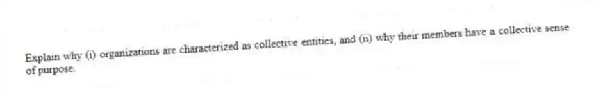 Explain why (i) organizations are characterized as collective entities, and (ii) why their members have a collective sense of purpose.