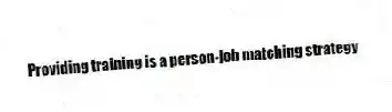 Providing training is a person-job matching strategy