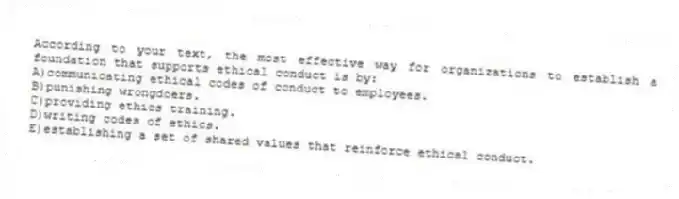 According to your text, the most effective way for organizations to establish a foundation that supports ethical conduct is by:
A)communicating ethical codes of conduct to employees.
B)punishing wrongdoers.
C)providing ethics training.
D)writing codes of ethics.
E)establishing a set of shared values that reinforce ethical conduct.