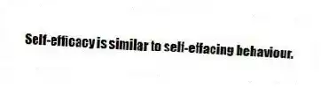 Self-efficacy is similar to self-effacing behaviour.