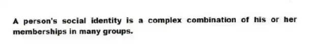 A person's social identity is a complex combination of his or her memberships in many groups.