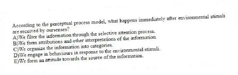 According to the perceptual process model, what happens immediately after environmental stimuli are received by oursenses?
A)We filter the information through the selective attention process.
B)We form attributions and other interpretations of the information.
C)We organize the information into categories.
D)We engage in behaviours in response to the environmental stimuli.
E)We form an attitude towards the source of the information.