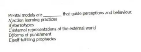 Mental models are ________ that guide perceptions and behaviour.
A)action learning practices
B)stereotypes
C)internal representations of the external world
D)forms of punishment
E)self-fulfilling prophecies
