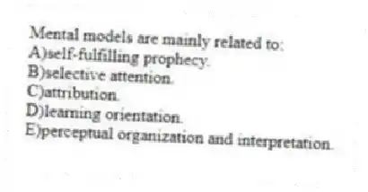 Mental models are mainly related to:
A)self-fulfilling prophecy.
B)selective attention.
C)attribution.
D)learning orientation.
E)perceptual organization and interpretation.