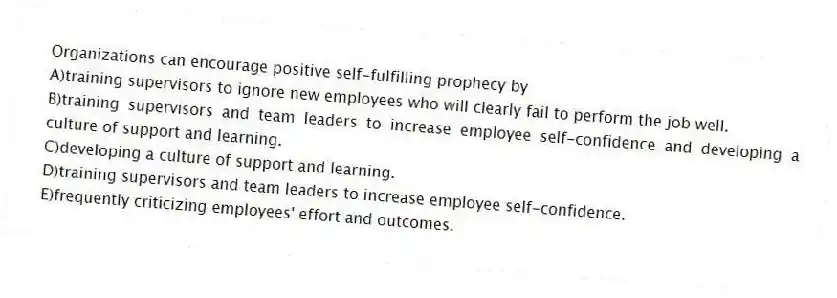 Organizations can encourage positive self-fulfilling prophecy by
A)training supervisors to ignore new employees who will clearly fail to perform the job well.
B)training supervisors and team leaders to increase employee self-confidence and developing a culture of support and learning.
C)developing a culture of support and learning.
D)training supervisors and team leaders to increase employee self-confidence.
E)frequently criticizing employees' effort and outcomes.