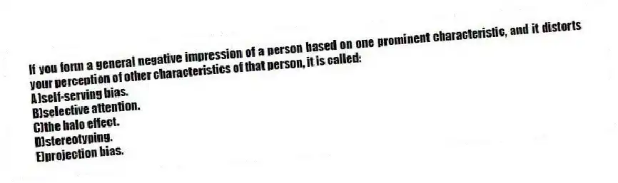 If you form a general negative impression of a person based on one prominent characteristic, and it distorts your perception of other characteristics of that person, it is called:
A)self-serving bias.
B)selective attention.
C)the halo effect.
D)stereotyping.
E)projection bias.