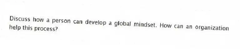 Discuss how a person can develop a global mindset. How can an organization help this process?