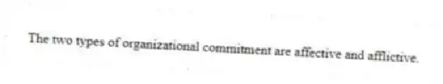 The two types of organizational commitment are affective and afflictive.