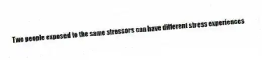 Two people exposed to the same stressors can have different stress experiences