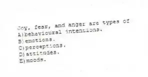 Joy, fear, and anger are types of
A)behavioural intentions.
B)emotions.
C)perceptions.
D)attitudes.
E)moods.