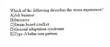 Which of the following describes the stress experience?
A)Job burnout
B)Stressors
C)Strain-based conflict
D)General adaptation syndrome
E)Type-A behaviour pattern