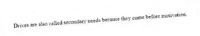 Drives are also called secondary needs because they come before motivation.