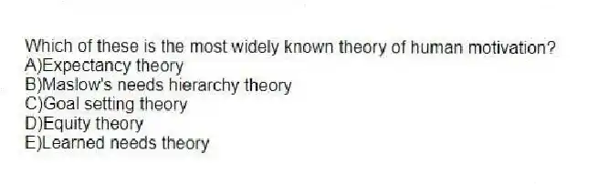 Which of these is the most widely known theory of human motivation?
A)Expectancy theory
B)Maslow's needs hierarchy theory
C)Goal setting theory
D)Equity theory
E)Learned needs theory