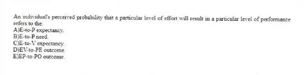 An individual's perceived probability that a particular level of effort will result in a particular level of performance refers to the:
A)E-to-P expectancy.
B)E-to-P need.
C)E-to-V expectancy.
D)EV-to-PE outcome.
E)EP-to-PO outcome.