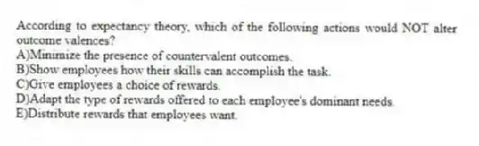 According to expectancy theory, which of the following actions would NOT alter outcome valences?
A)Minimize the presence of countervalent outcomes.
B)Show employees how their skills can accomplish the task.
C)Give employees a choice of rewards.
D)Adapt the type of rewards offered to each employee's dominant needs.
E)Distribute rewards that employees want.